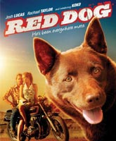 Red Dog /  